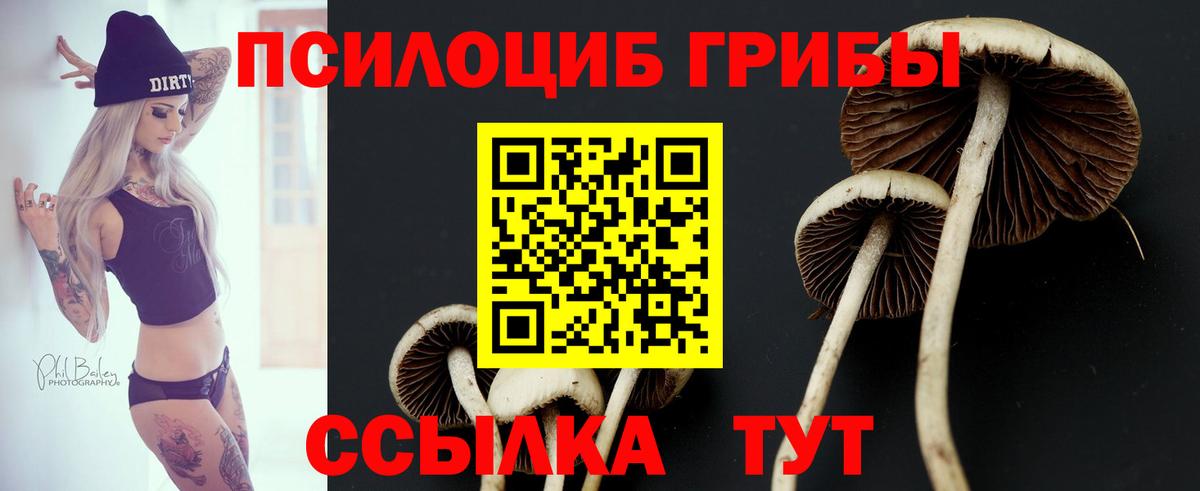 Псилоцибиновые грибы Magic Shrooms Троицк